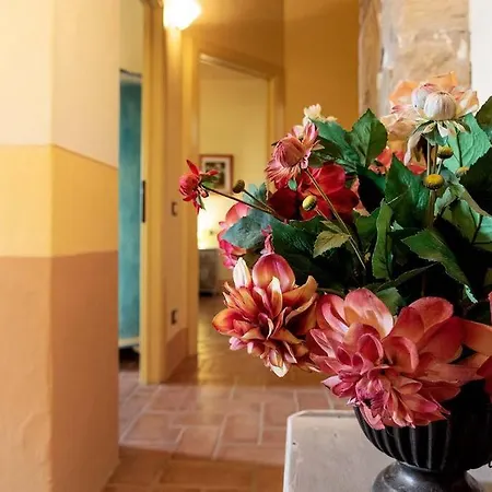 La Tana Buona Peccioli