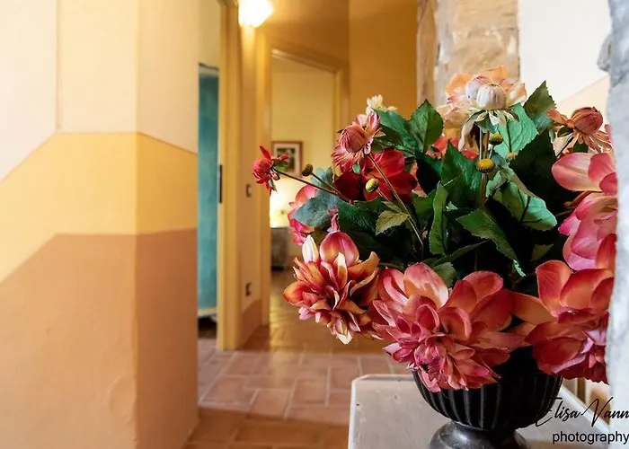 La Tana Buona 페치올리